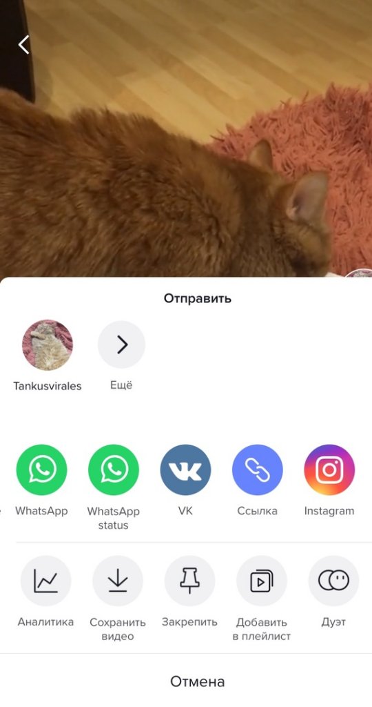 5 неочевидных возможностей TikTok для продвижения видеороликов