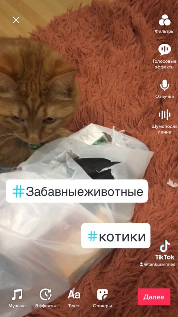 5 неочевидных возможностей TikTok для продвижения видеороликов