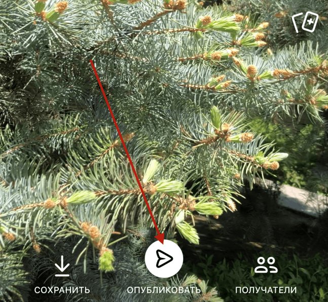 Публикация видео