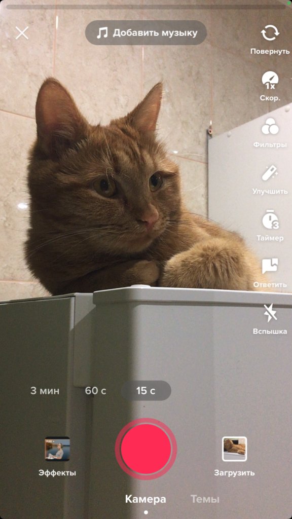 Как начать снимать видео в TikTok для бизнеса