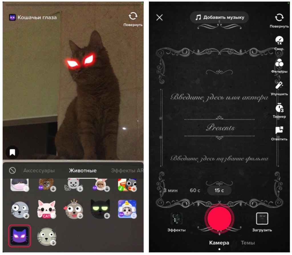 Как начать снимать видео в TikTok для бизнеса