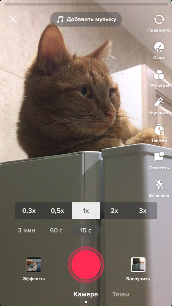 Как начать снимать видео в TikTok для бизнеса