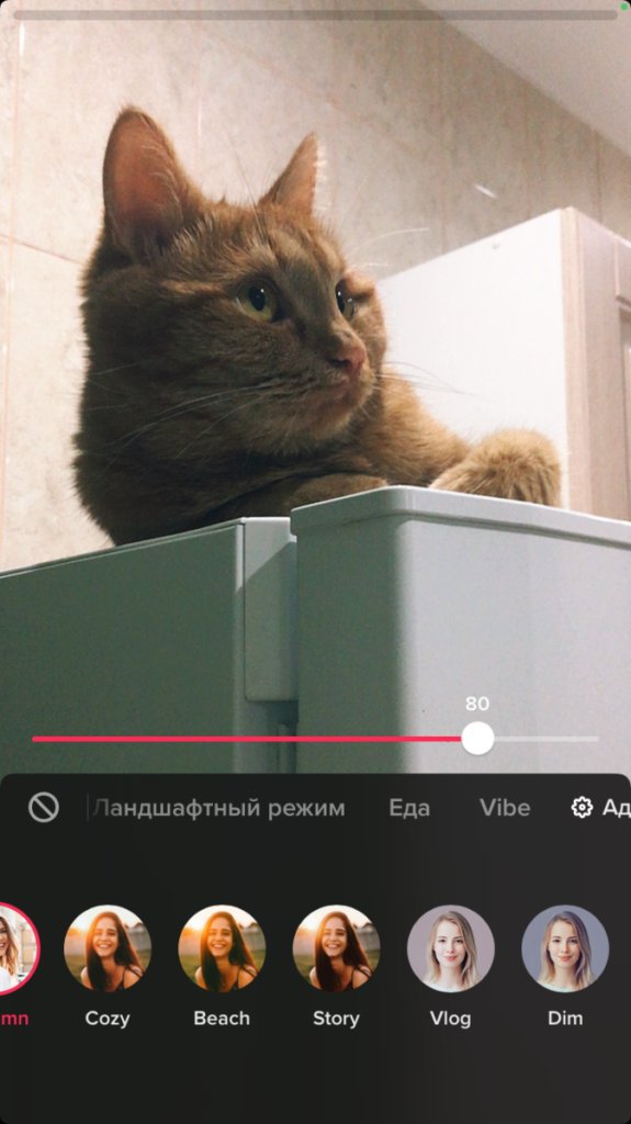 Как начать снимать видео в TikTok для бизнеса