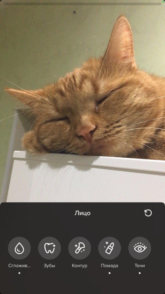 Как начать снимать видео в TikTok для бизнеса