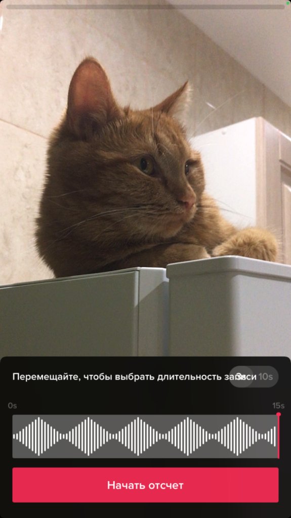 Как начать снимать видео в TikTok для бизнеса