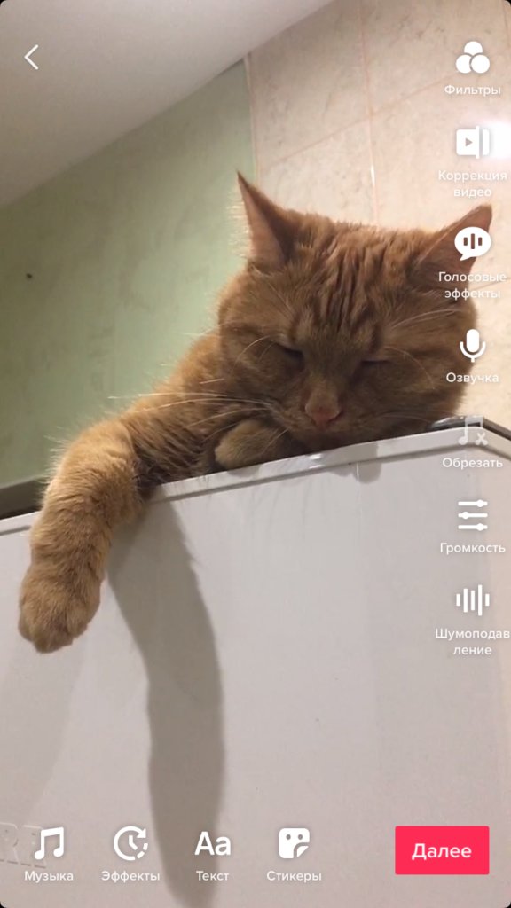 Как начать снимать видео в TikTok для бизнеса