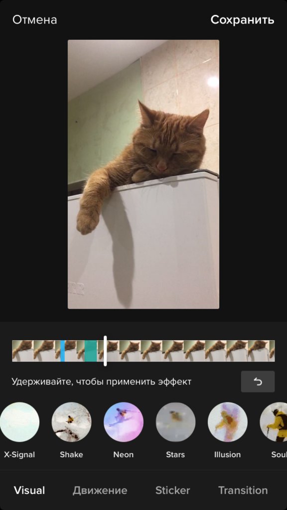 Как начать снимать видео в TikTok для бизнеса