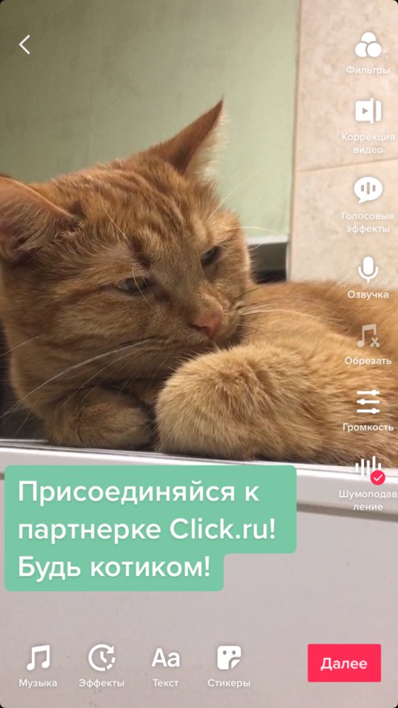 Как начать снимать видео в TikTok для бизнеса