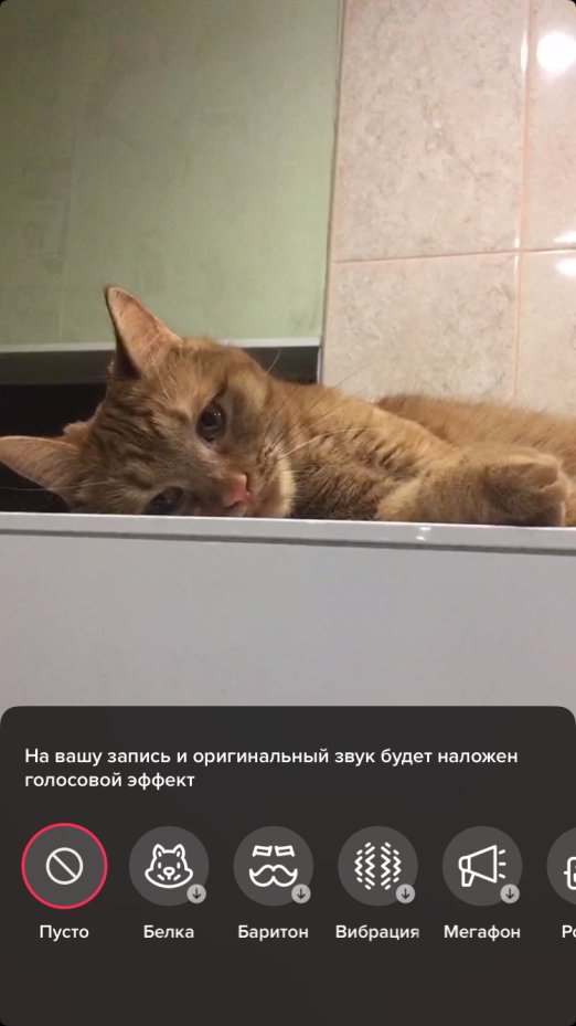 Как начать снимать видео в TikTok для бизнеса