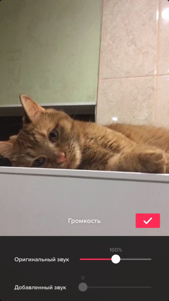 Как начать снимать видео в TikTok для бизнеса