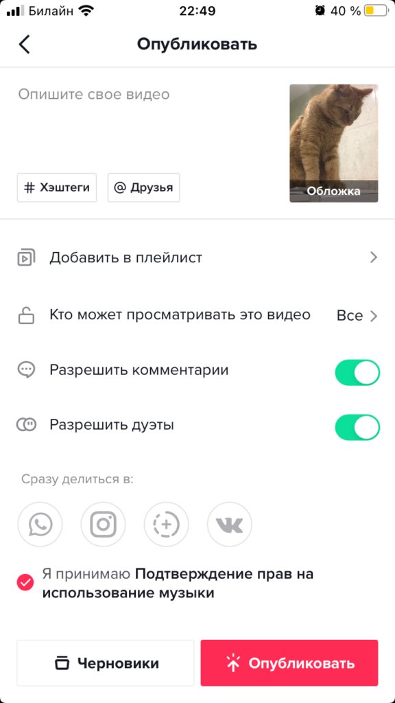 Как начать снимать видео в TikTok для бизнеса