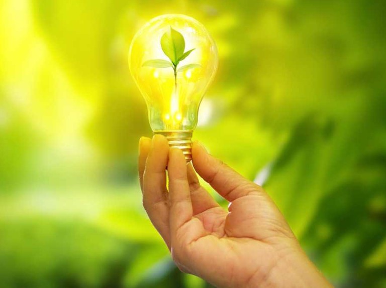 Newest Innovations in Green Technology