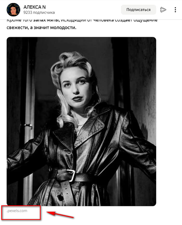 Причины блокировки в Дзен