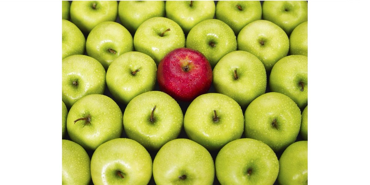 Уникальное торговое предложение (УТП): 10 форм