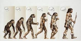 Чем отличается умственный труд от физического труда