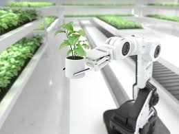 Top 6 Leading Industrial Robot Trends