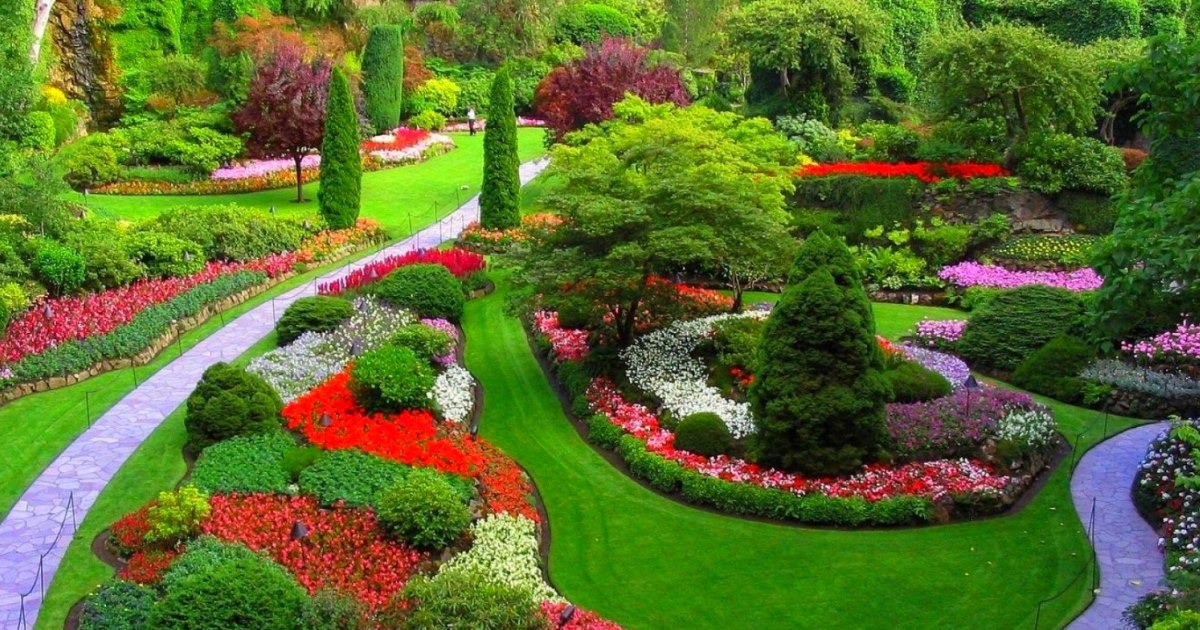 Кто такой ландшафтный дизайнер