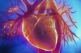 Remote Monitoring of Patients for Cardiovascular Disease