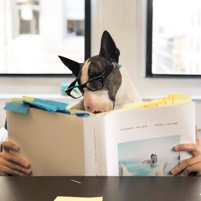 Как заставить себя больше читать