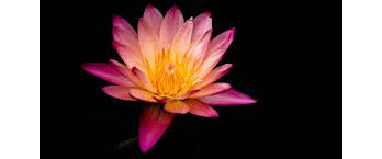 Что такое духовное развитие человека