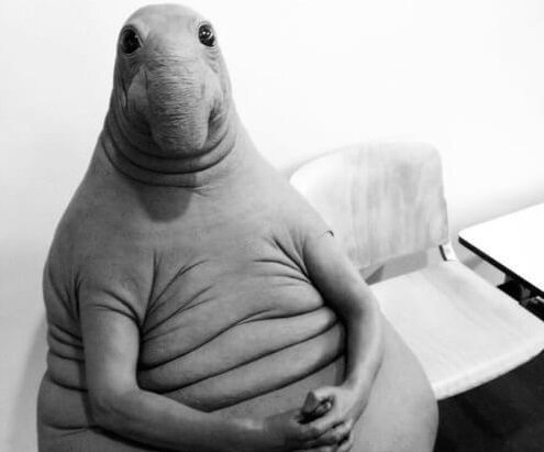 Вирусный маркетинг: 6 шагов