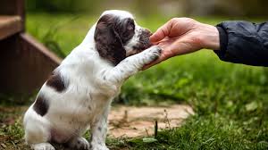 Лидогенерация с оплатой за результат