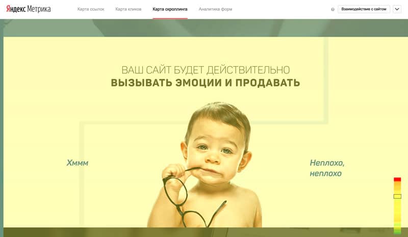 Нейромаркетинг: выжимка из 12 книг