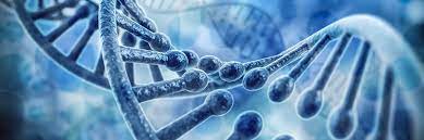 What All Startup Owners Should Know About Data Storage?