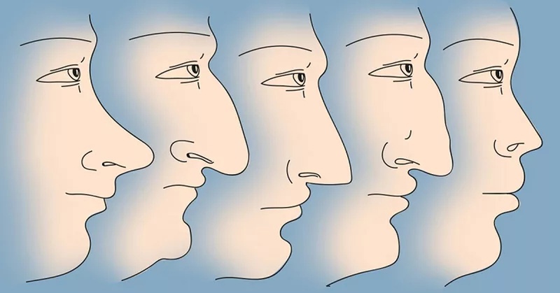 Физиогномика – что это?