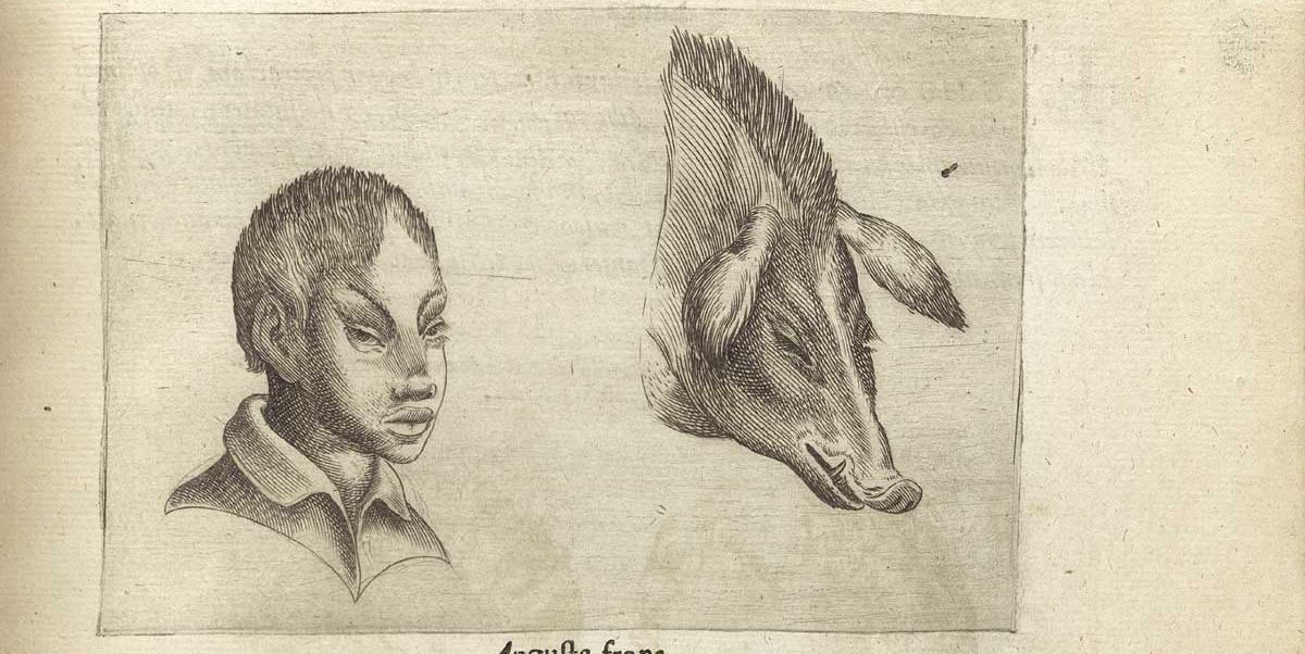 Физиогномика – что это?