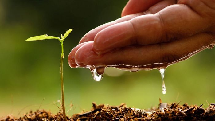 Что такое терпение?