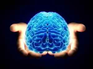 Что такое «осязание»?