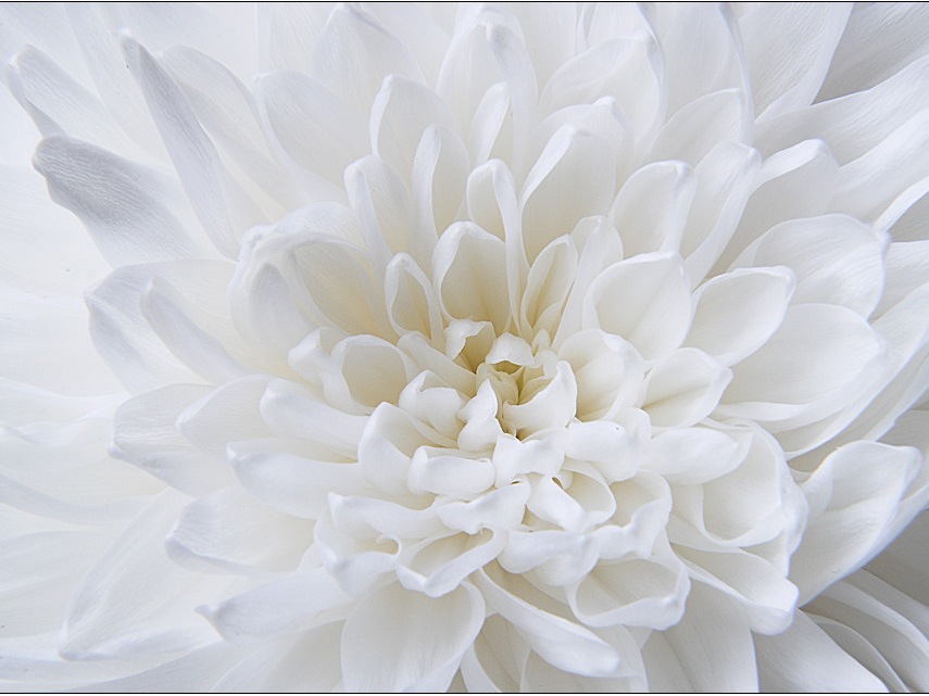 Белый цвет и его значение в психологии