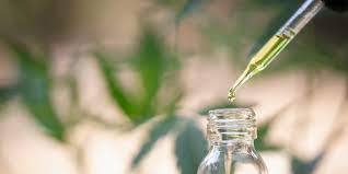 SEO for CBD Companies