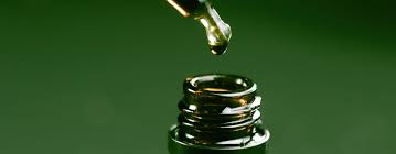 SEO for CBD Companies