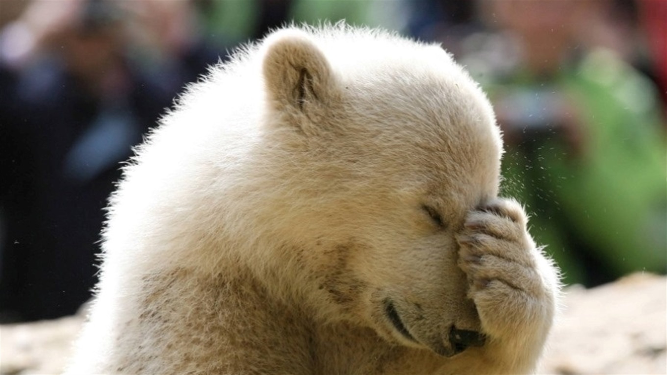 Что такое скромность?