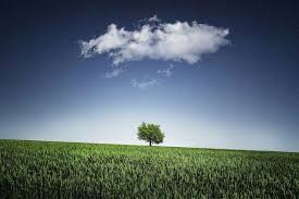 Что значит «горизонт завален»?