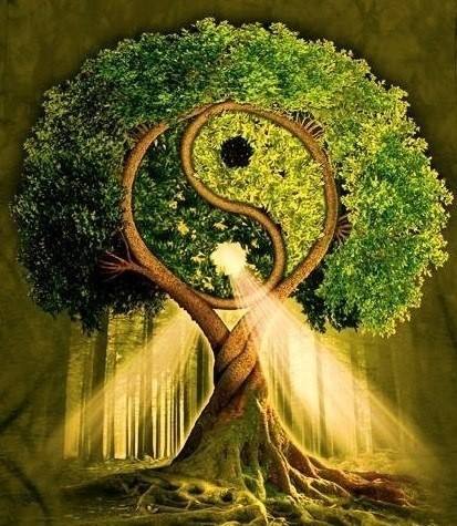 Что такое Инь и Янь?