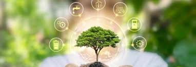 3 SEO Tips for Eco-Friendly Brands Online Visibility