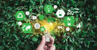 3 SEO Tips for Eco-Friendly Brands Online Visibility