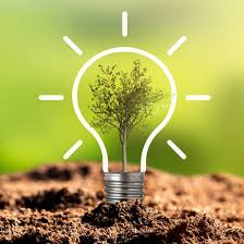 Что такое «экологичность»?