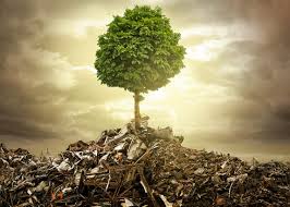 Что такое «экологичность»?