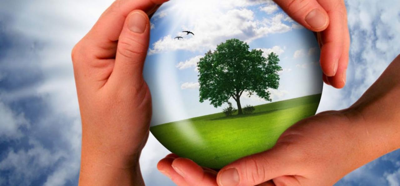 Что такое «экологичность»?