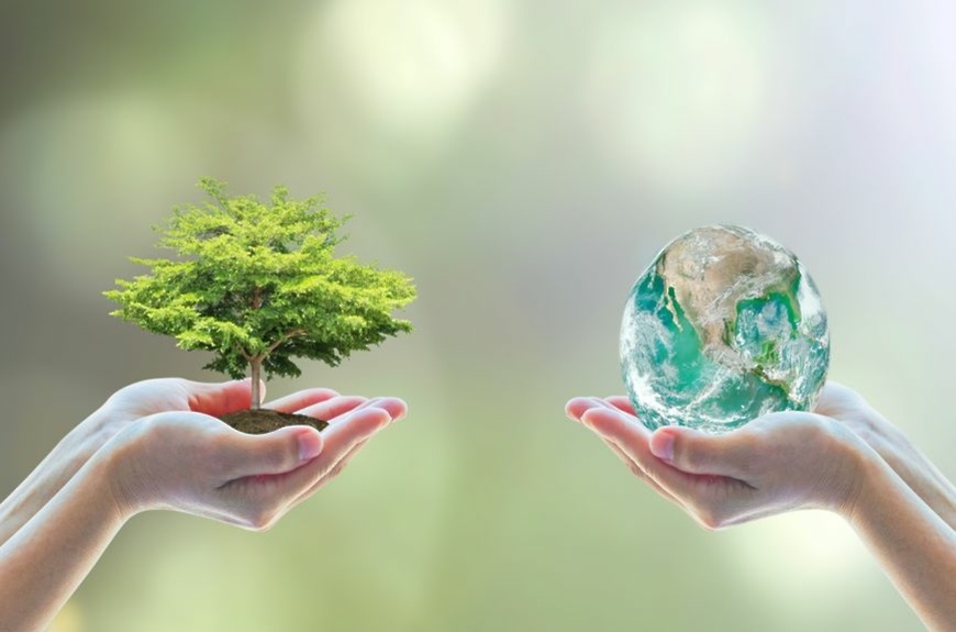 Что такое «экологичность»?