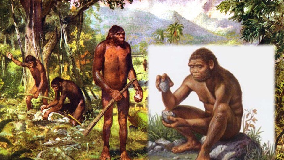 Что такое антропология?