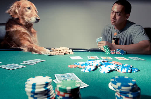 Блеф — что это такое?