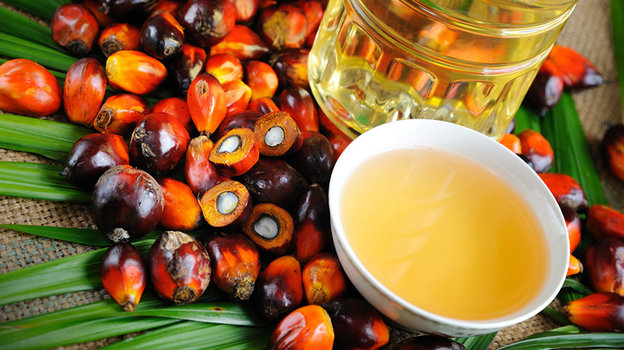 Вред пальмового масла: современный взгляд