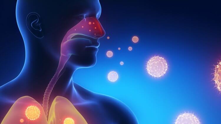 Как укрепить иммунитет при частых простудах и перестать болеть