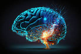 Эмпиризм в философии