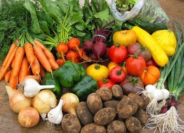 Как продавать излишки с огорода и не попасть на штрафы